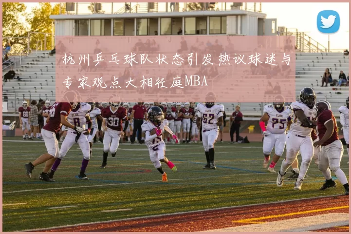 杭州乒乓球队状态引发热议球迷与专家观点大相径庭MBA