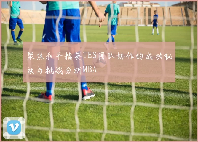 聚焦和平精英TES团队协作的成功秘诀与挑战分析MBA