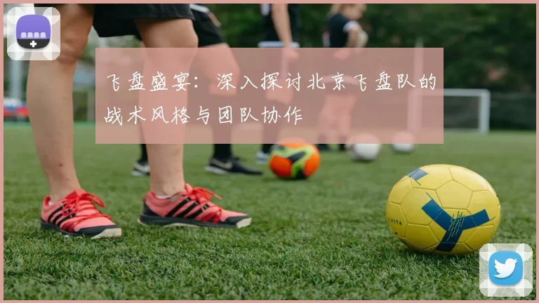飞盘盛宴：深入探讨北京飞盘队的战术风格与团队协作