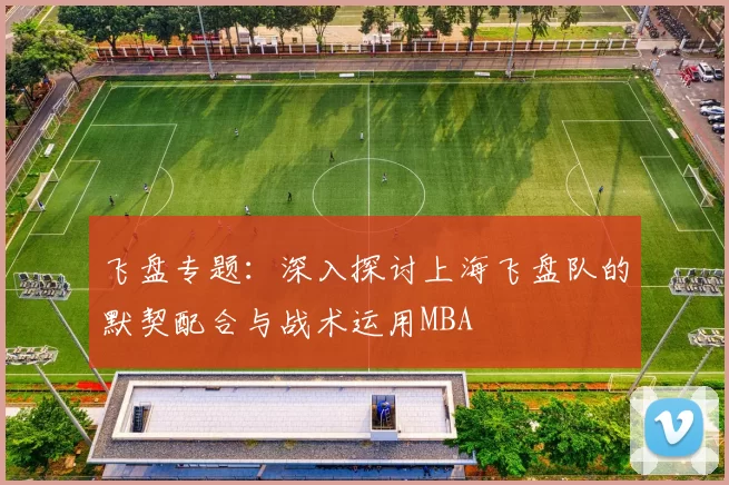 飞盘专题：深入探讨上海飞盘队的默契配合与战术运用MBA